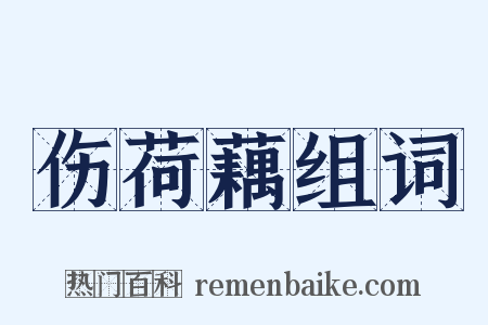 伤荷藕组词是什么意思的图片